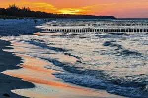 Wooden Groynes Germany Drucke: Strollers and groynes at the beach of Zingst at sunset
