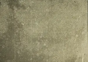 Close Up Image Drucke: Structure