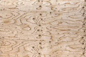 Travel Photography Bavaria Drucke: Structure of a chipboard, Bavaria, Germany