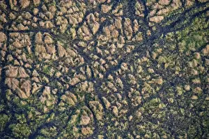 Botswana Landscape Photography Drucke: Structure and pattern, grass from above