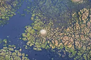 Botswana Landscape Photography Drucke: Structure and pattern, termite mounds in marshland