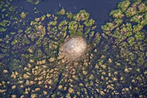 Botswana Landscape Photography Drucke: Structure and pattern, termite mounds in marshland
