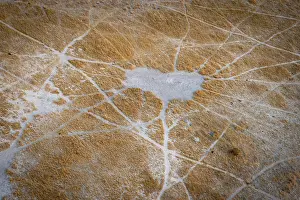 Drucke von Struktur und Muster von Pfaden, Tierpfade, Landschaft, Luftbild des Okavangodeltas, in der Nähe von Maun, Okavangodeltta, Botswana Maun Drucke: Struktur und Muster von Wegen.