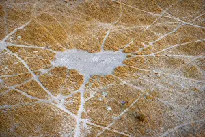 Drucke von Struktur und Muster von Pfaden, Tierpfade, Landschaft, Luftbild des Okavango-Deltas, in der Nähe von Maun, Okavango-Delta, Botswana Maun Drucke: Struktur und Muster von Wegen.