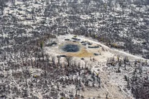 Okavango River Aerial Photography Drucke: Structure and pattern, trees in the dry season