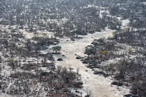 Drucke von Struktur und Muster, Bäume in der Trockenzeit, arides Landschaftsbild, Luftaufnahme des Okavangodelta, nahe Maun, Okavangodelta, Botswana Maun Drucke: Struktur und Muster, Bäume in der Trockenzeit.