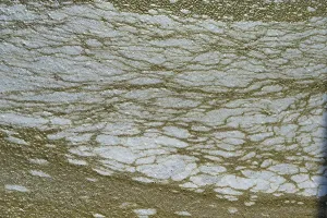 Environmental Damage Germany Drucke: Structure of pollution in the port of Ahrenshoop
