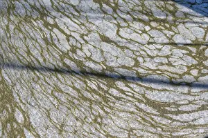 Environmental Damage Germany Drucke: Structure of pollution in the port of Ahrenshoop