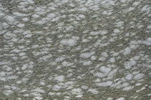 Environmental Damage Germany Drucke: Structure of pollution in the port of Ahrenshoop