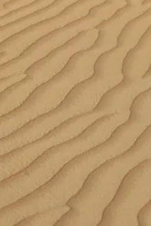 Drucke von Struktur im Sand, Emirat Dubai, Vereinigte Arabische Emirate Dubai Drucke: Struktur im Sand, Emirat Dubai