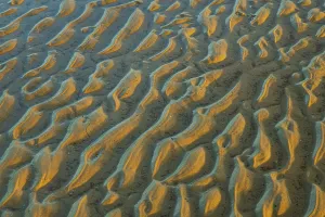 Deserted Sandy Ocean Beach Drucke: Structure in sandy beach at low tide
