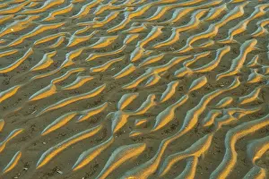 North Frisia Landscape Drucke: Structure in sandy beach at low tide