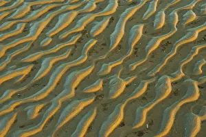 Low Tide Landscape Drucke: Structure in sandy beach at low tide