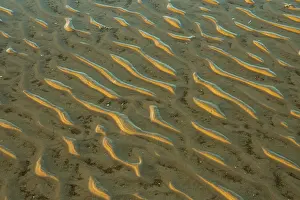 Low Tide Landscape Photography Drucke: Structure in sandy beach at low tide