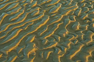 North German Nature Reserve Drucke: Structure in sandy beach at low tide