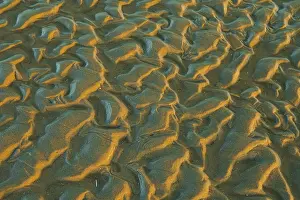 Sandy Beach Drucke: Structure in sandy beach at low tide