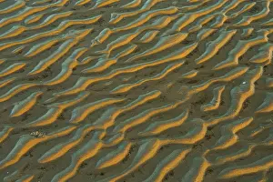 Sandy Beach At Low Tide Drucke: Structure in sandy beach at low tide