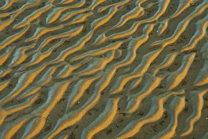Sandy Beach At Low Tide Drucke: Structure in sandy beach at low tide