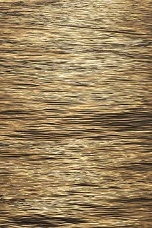 Northern Europe Waterfront Scene Drucke: Structure on sea surface, Barents Sea