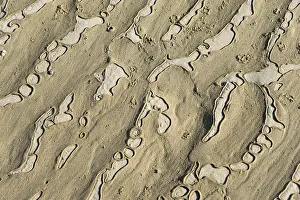 No People On The Beach Drucke: Structured sandy area with undulating natural patterns and shapes
