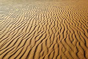 Dune Formations In Africa Drucke: Structures on a dune in the Namib desert