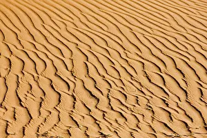 African Sand Dunes Drucke: Structures on a dune in the Namib desert