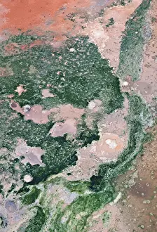 Icelandic Geothermic Energy Drucke: Detail of structures formed by algae
