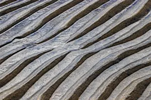 Wavy Structure In Sand Drucke: Structures, ripples in the sand