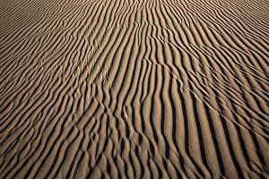 Wavy Sand Patterns Drucke: Structures in the sand, dunes of Maspalomas