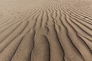 Spain Desert Scene Drucke: Structures in the sand, dunes of Maspalomas