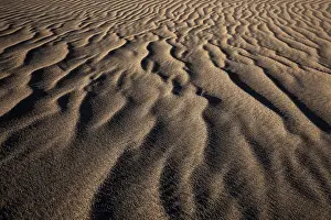 Wavy Sand Patterns Drucke: Structures in the sand, dunes of Maspalomas