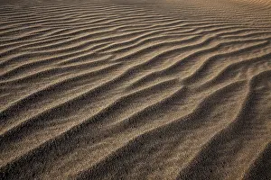 Spain Desert Scene Drucke: Structures in the sand, dunes of Maspalomas