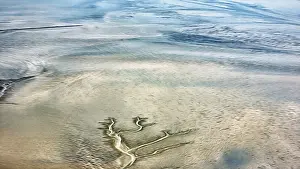 Wind And Water Structures Drucke: Structures in the sand formed by wind and water
