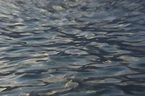 Abstract Background Images Drucke: Structures on water surface