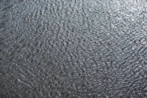 Central Europe Water Features Drucke: Structures of a water surface from the Main