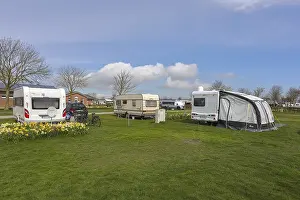 Deserted Baltic Sea Coast Drucke: Strukkamphuk campsite, spring, Easter bells