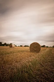 Agricultural Crop Field Drucke: stubble field with straw bales
