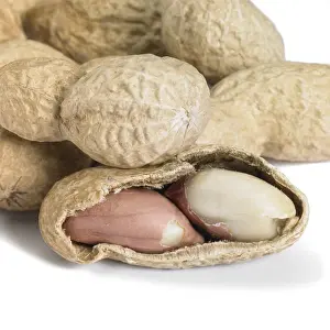 Deserted Studio Background Photo Drucke: Studio photography of a open peanut detail