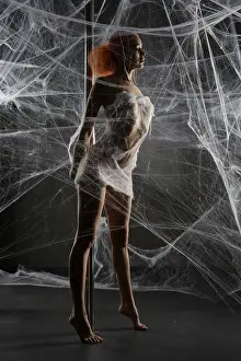 Redheaded Female Figure Drucke: A stunning redhead is elegantly caught in a delicate web