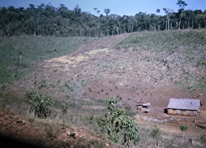 South American Countryside Scenery Drucke: Subsistence farming Deforestation for subsistence farming
