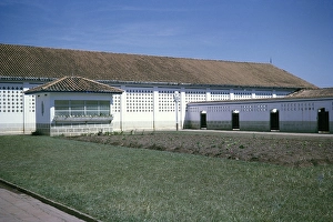 Uninhabited Brazilian Countryside Drucke: Subtitle: Cowsheds and test laboratory