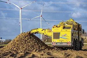 Sugar Beet Harvest Drucke: Sugar beet harvest, with an automatic