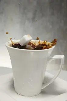 Coffee Detail View Drucke: Two sugar cubes falling into a cup of coffee