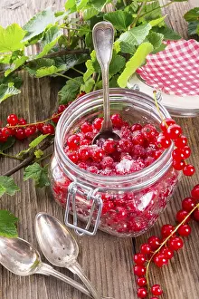 Red Currant Dessert Drucke: Sugared red currant