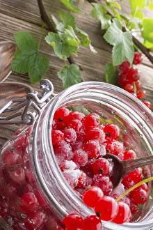 Healthy Meal Ideas Drucke: Sugared red currant