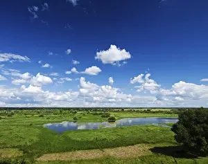 Cloudy Sky Landscape Drucke: Summer field