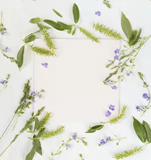 Blue Flowers Drucke: Summer frame with fresh branches