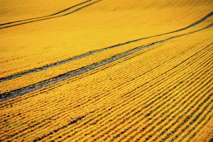 Motion Blur Effect Drucke: Summer impression