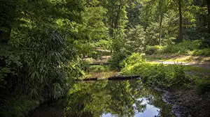 Central European Landscape Drucke: Summer in the Netherlands