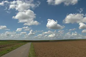 Agricultural Landscape In Germany Drucke: Summer sky with clouds above fields